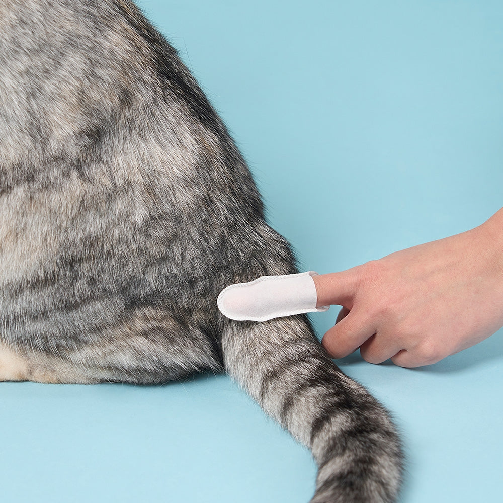 duit black cleaner finger tissue